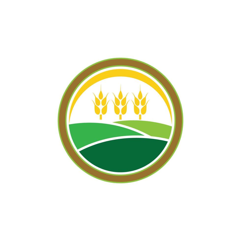 Agriculture wheat Logos Template vector