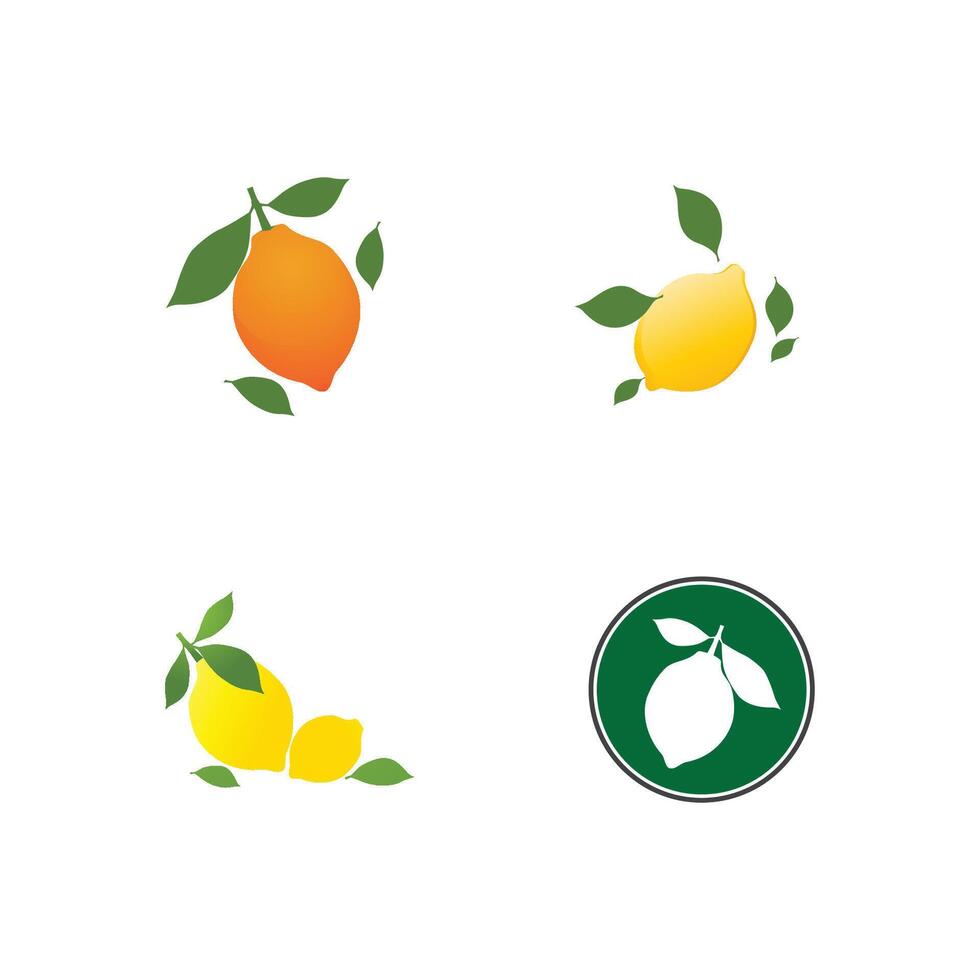 Stylized orange logo symbol juice design vector
