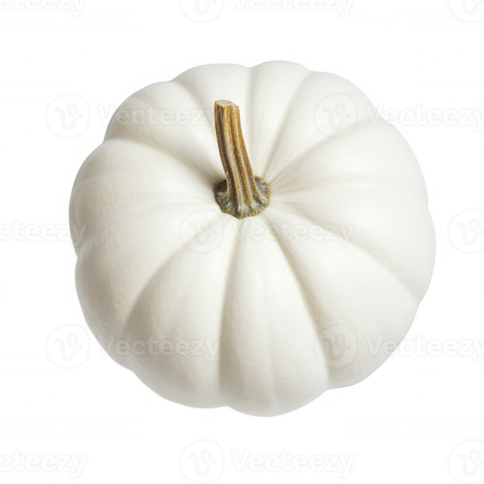 White pumpkin 3d icon featuring design realistic isolated transparent background, ideal for seasonal autumn graphic stem, png