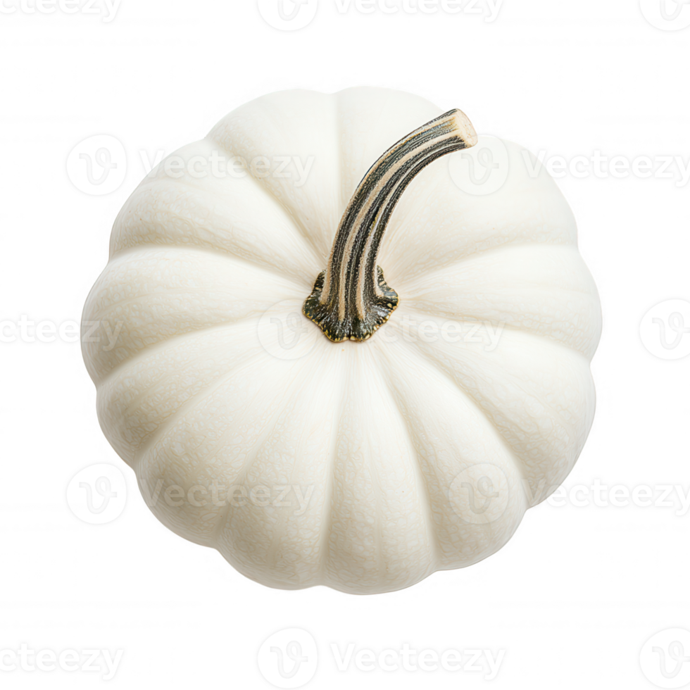 White pumpkin 3d icon featuring realistic stem, isolated transparent background, ideal for seasonal autumn graphic design png