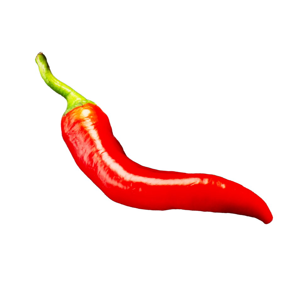 Red hot chili in transparent background png