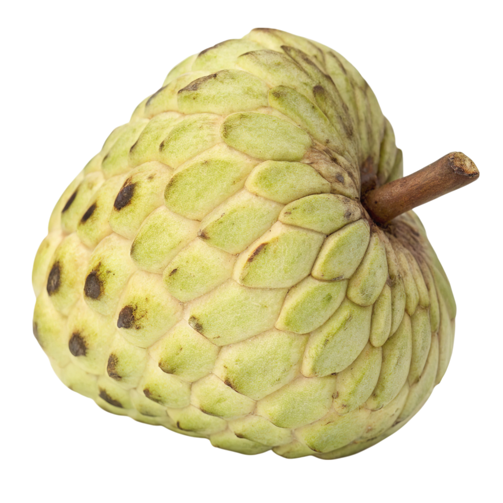 A green sugarapple fruit isolated on transparent background png