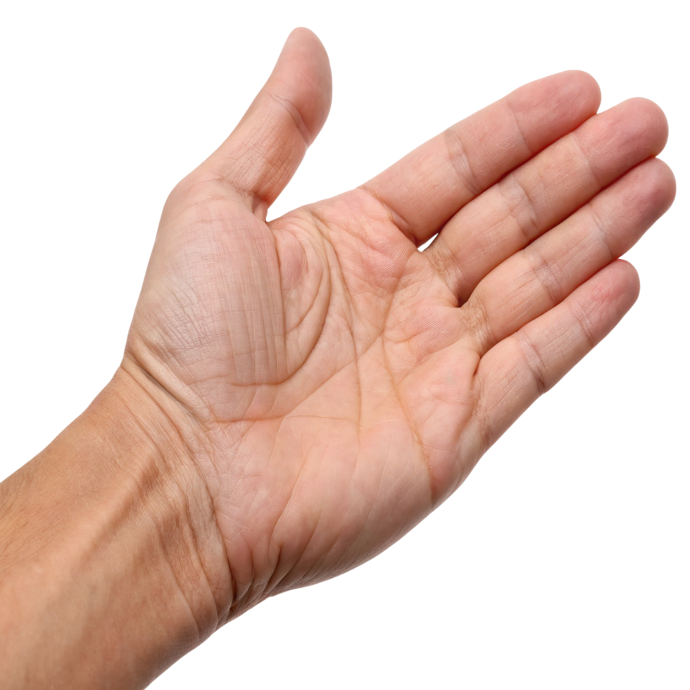 An open human hand isolated on transparent background png