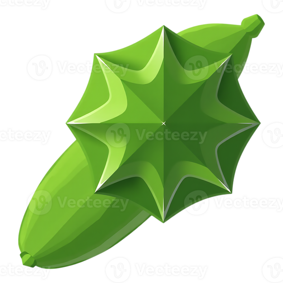 Top view of fresh green zucchini on transparent background png