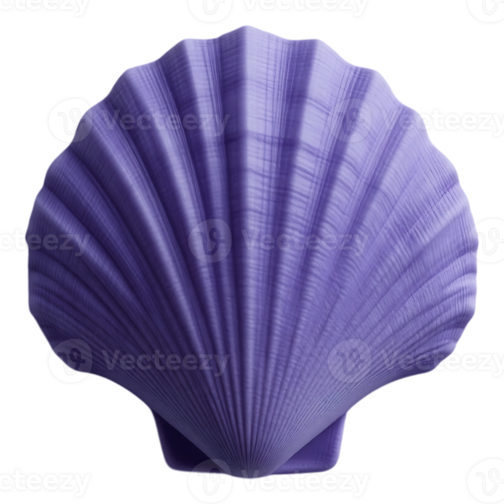 Purple Seashell on Transparent Background png