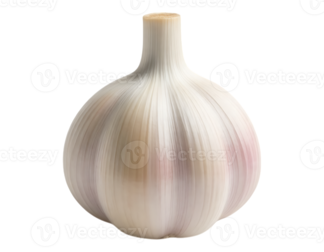 A detailed and realistic close-up of a fresh garlic bulb on a transparent background. png