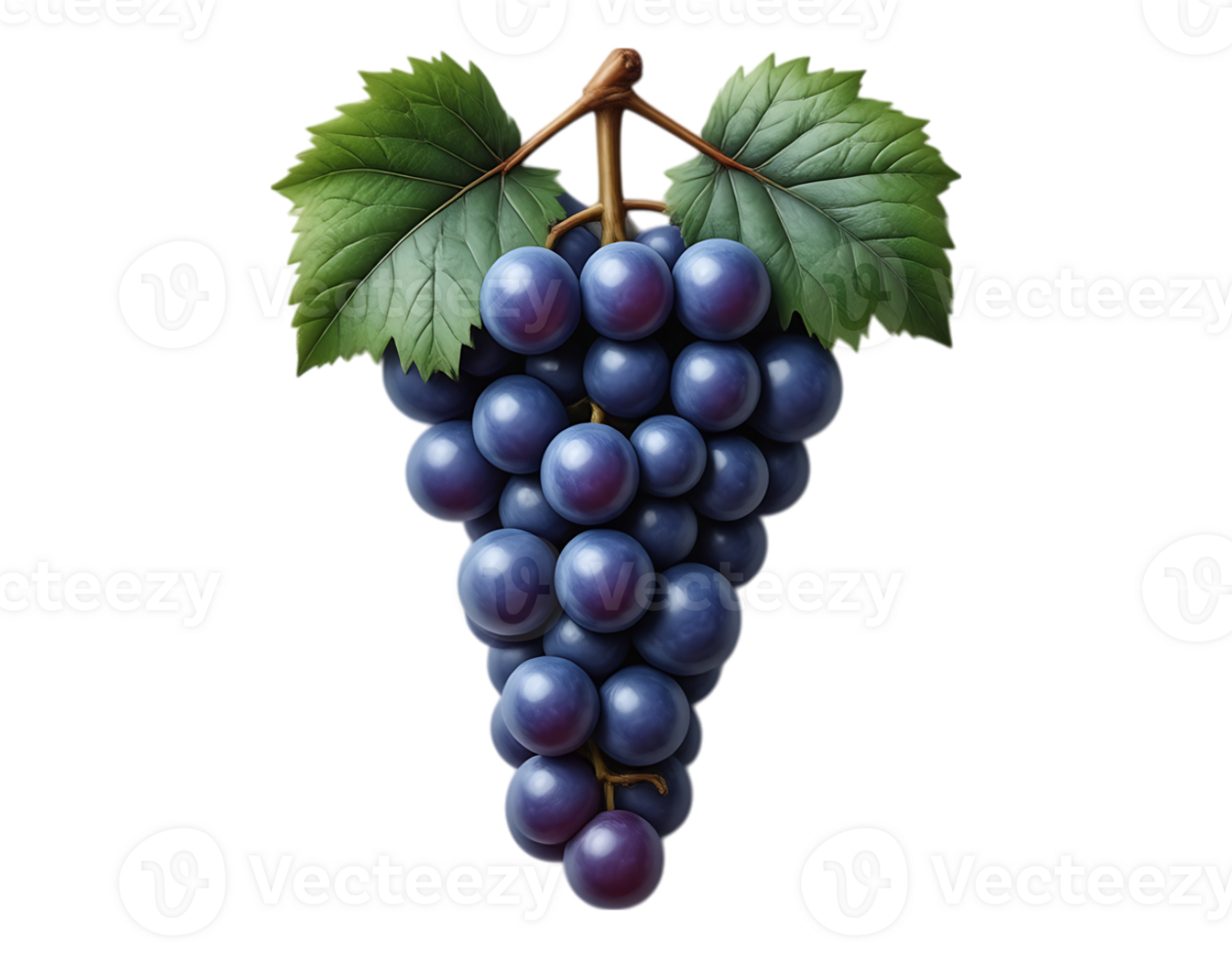 A close-up of a ripe, juicy grape cluster with green leaves. png