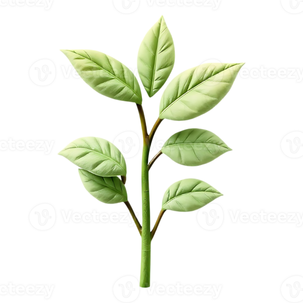 Stylized Green Plant with Leaves on Transparent Background png