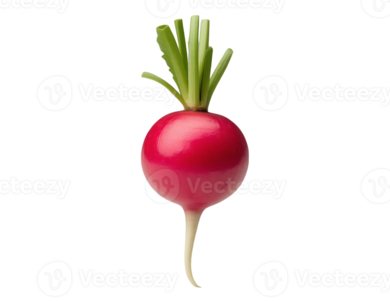 Vibrant Red Radish with Green Tops png