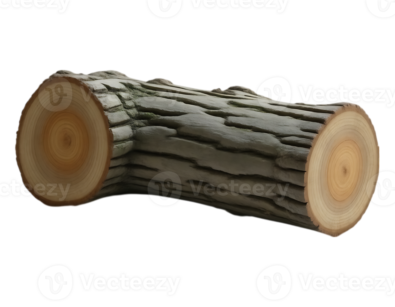 Detailed Close-up of a Cut Log with Visible Growth Rings png