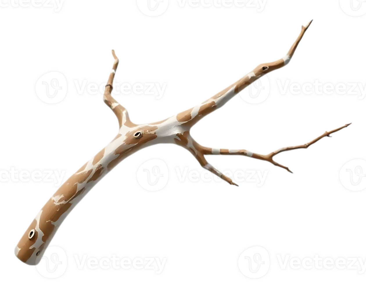 Detailed depiction of a twig with brown and white markings, isolated on a transparent background png