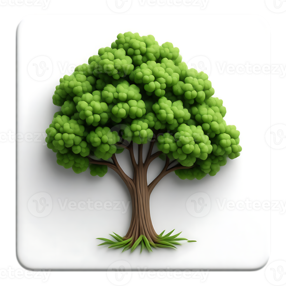 3D Cartoon Tree on a White Square png
