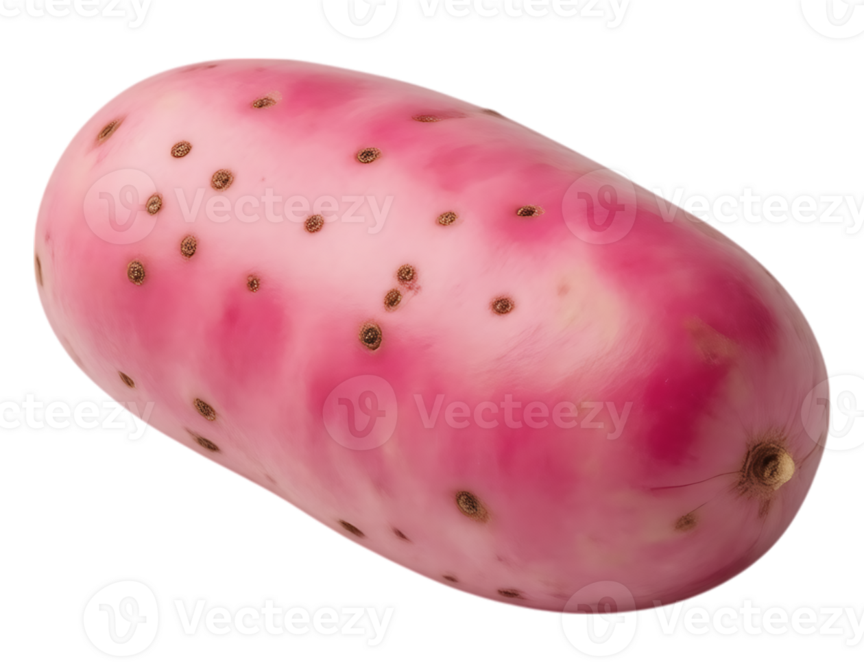 Prickly Pear Cactus Fruit on Transparent Background png