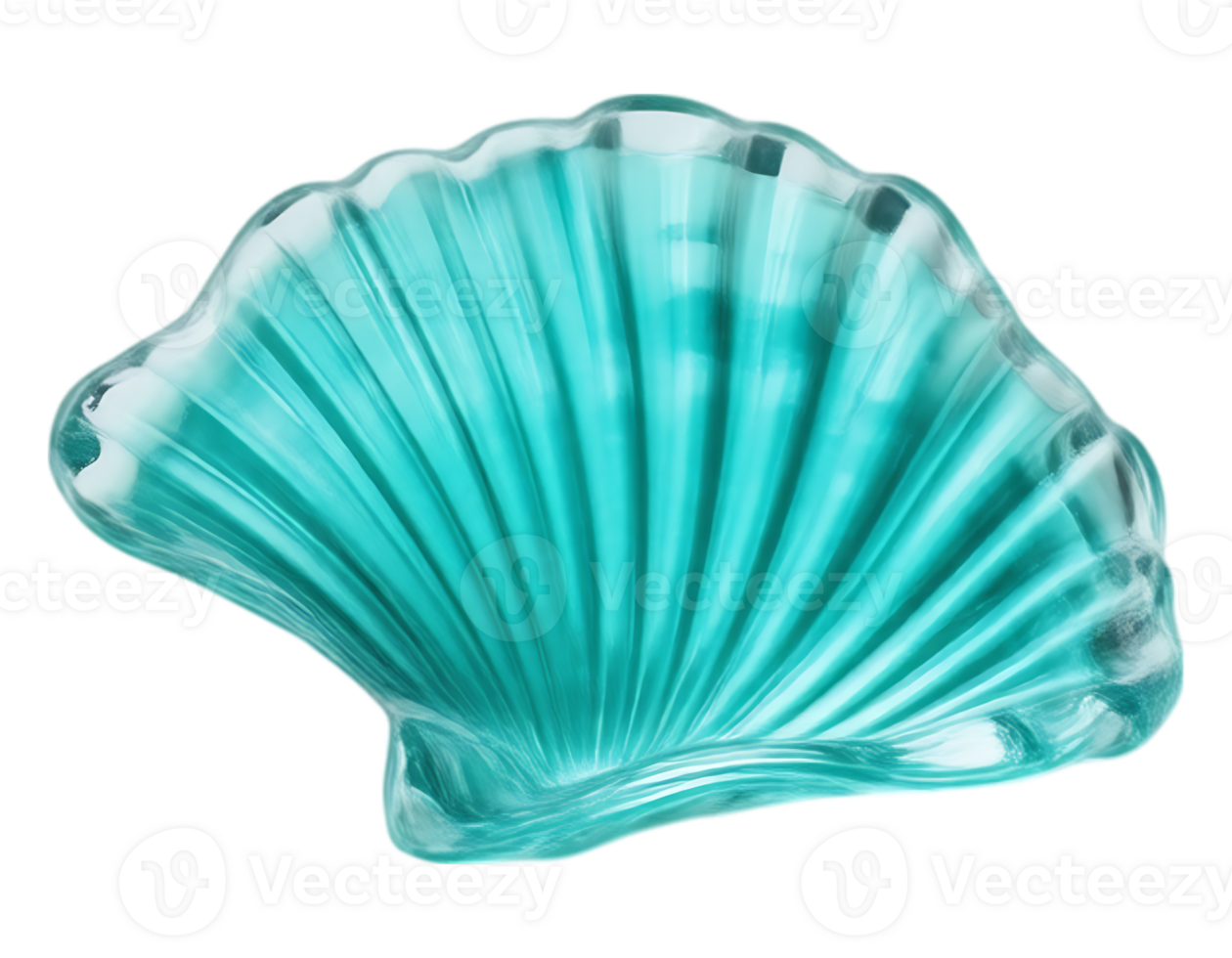 Turquoise Seashell Illustration png