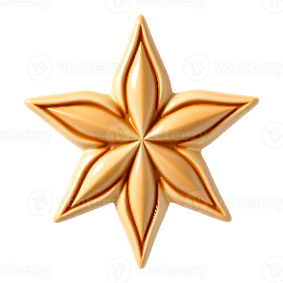 Golden Star Ornament with Realistic Rendering png