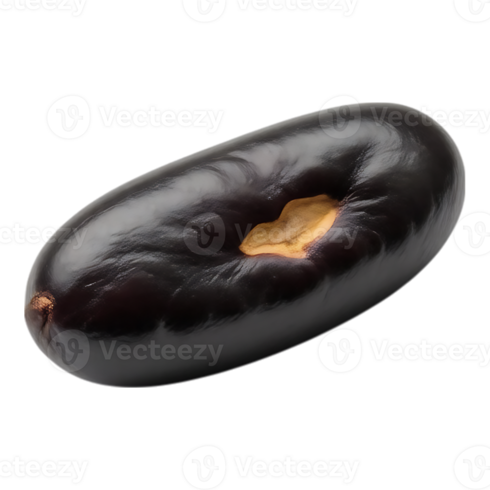 Close-up of a single, dark-colored black bean with a visible hilum png