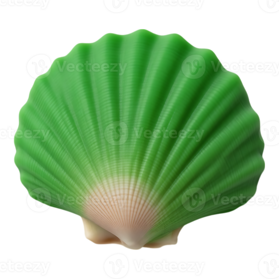 Green Scallop Shell with Ridged Texture png