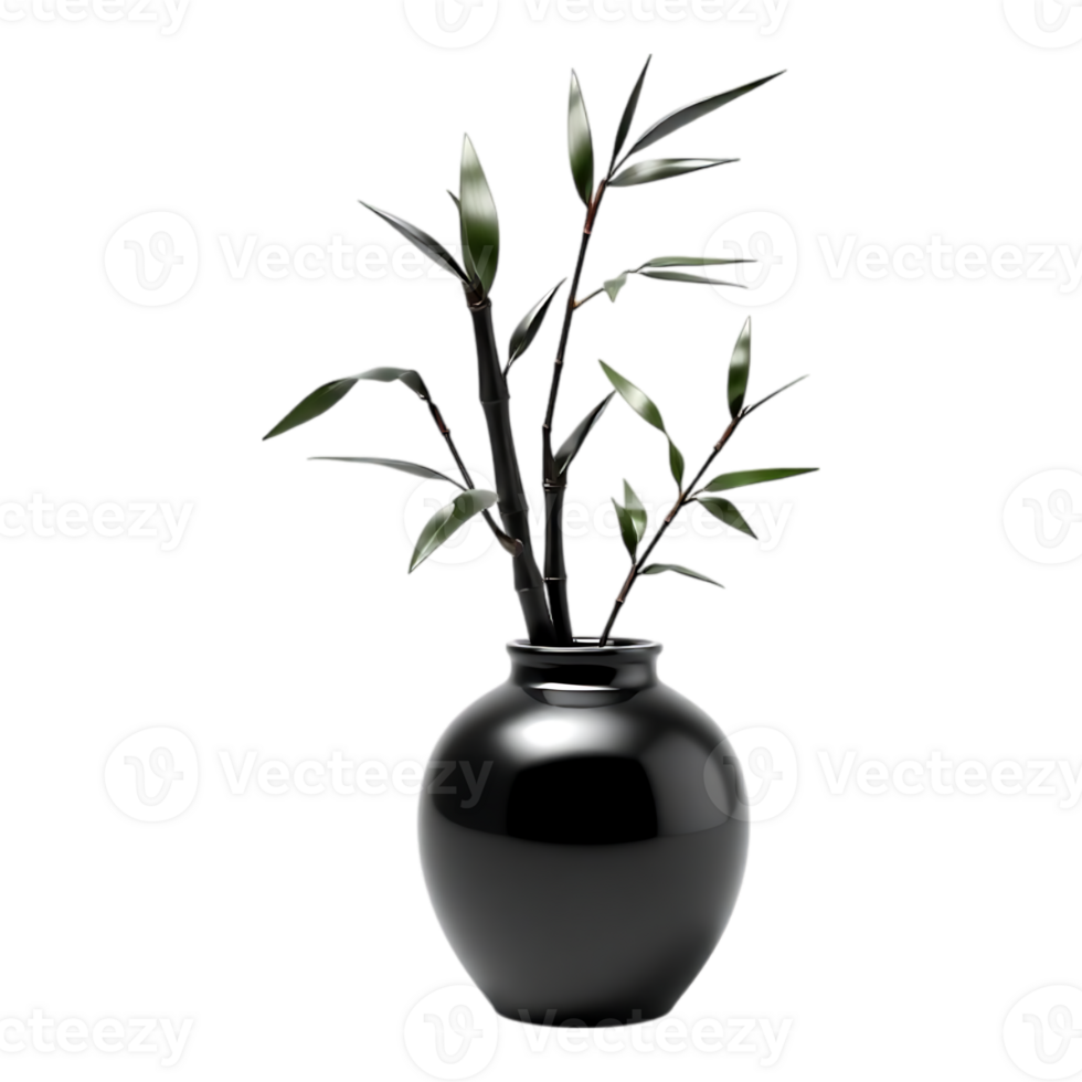 Black Bamboo in a Glossy Vase png