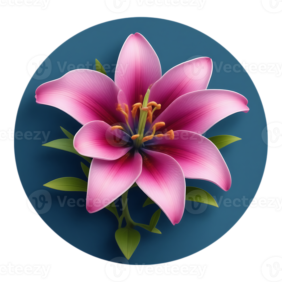 Pink Lily Bloom on Blue Circle png