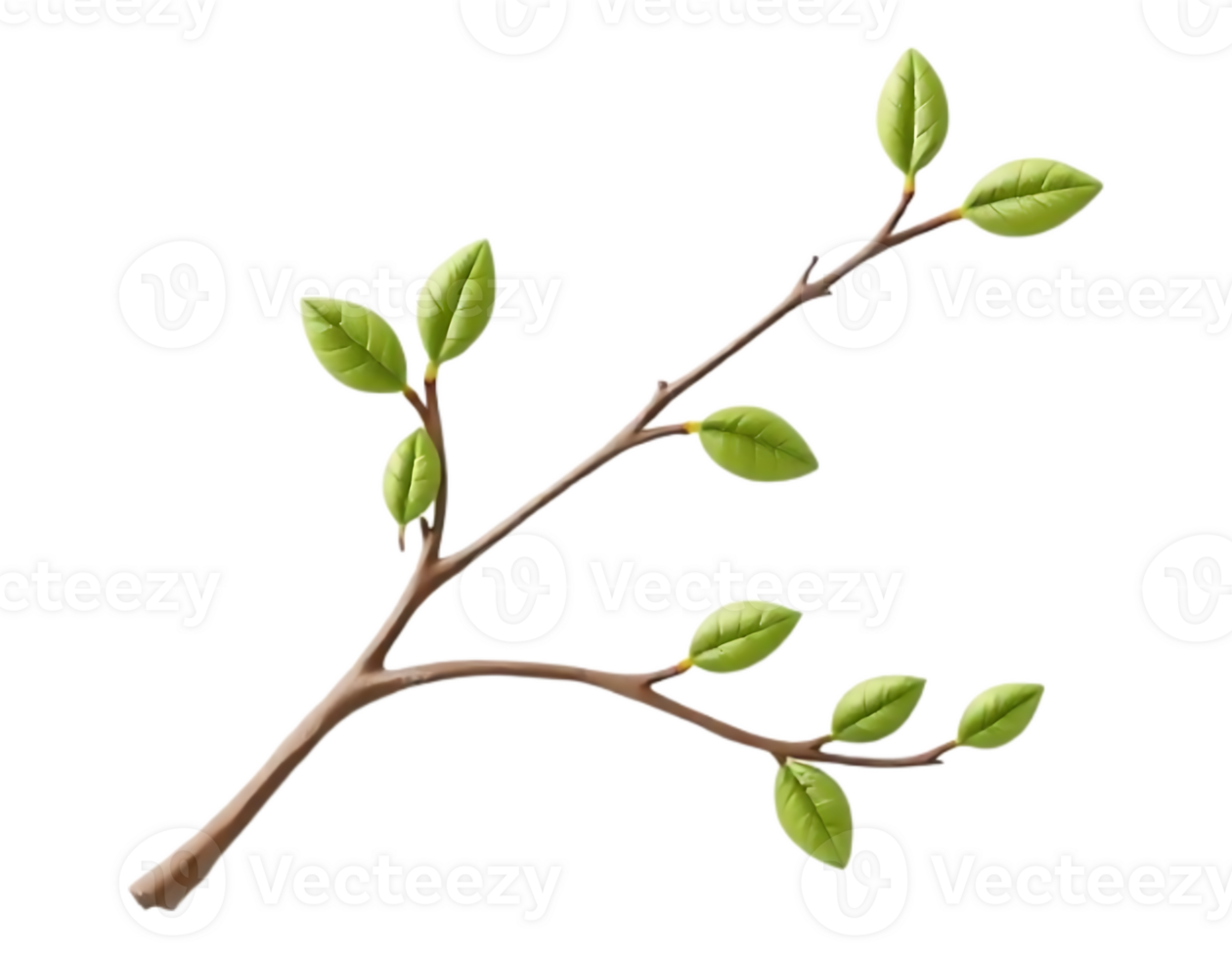 Branch with Leaves png