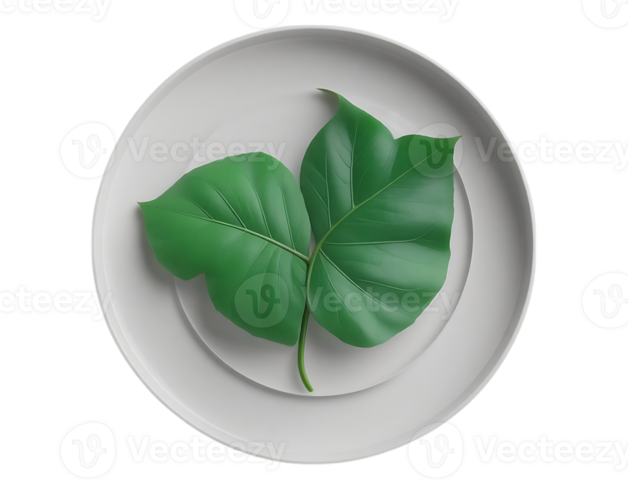 Green leaf on a white plate, top view, food presentation. png