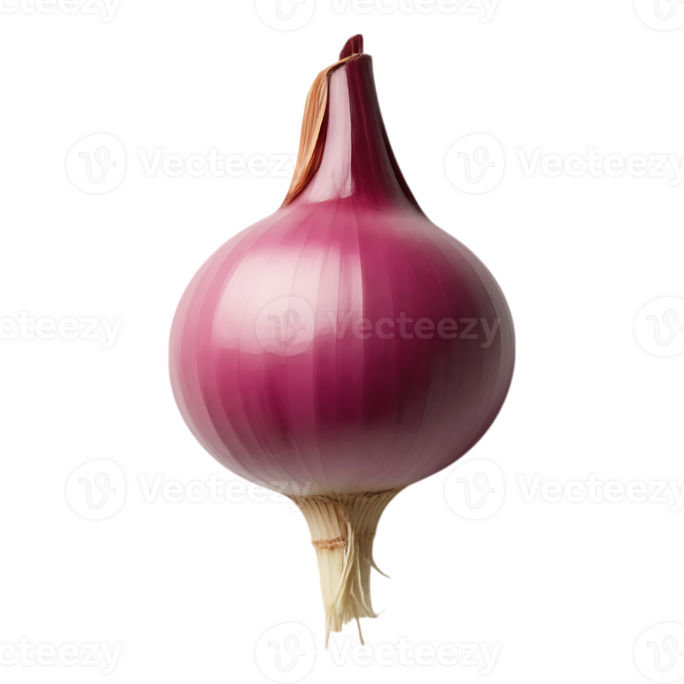 Vibrant Red Onion Fresh Produce Isolated png