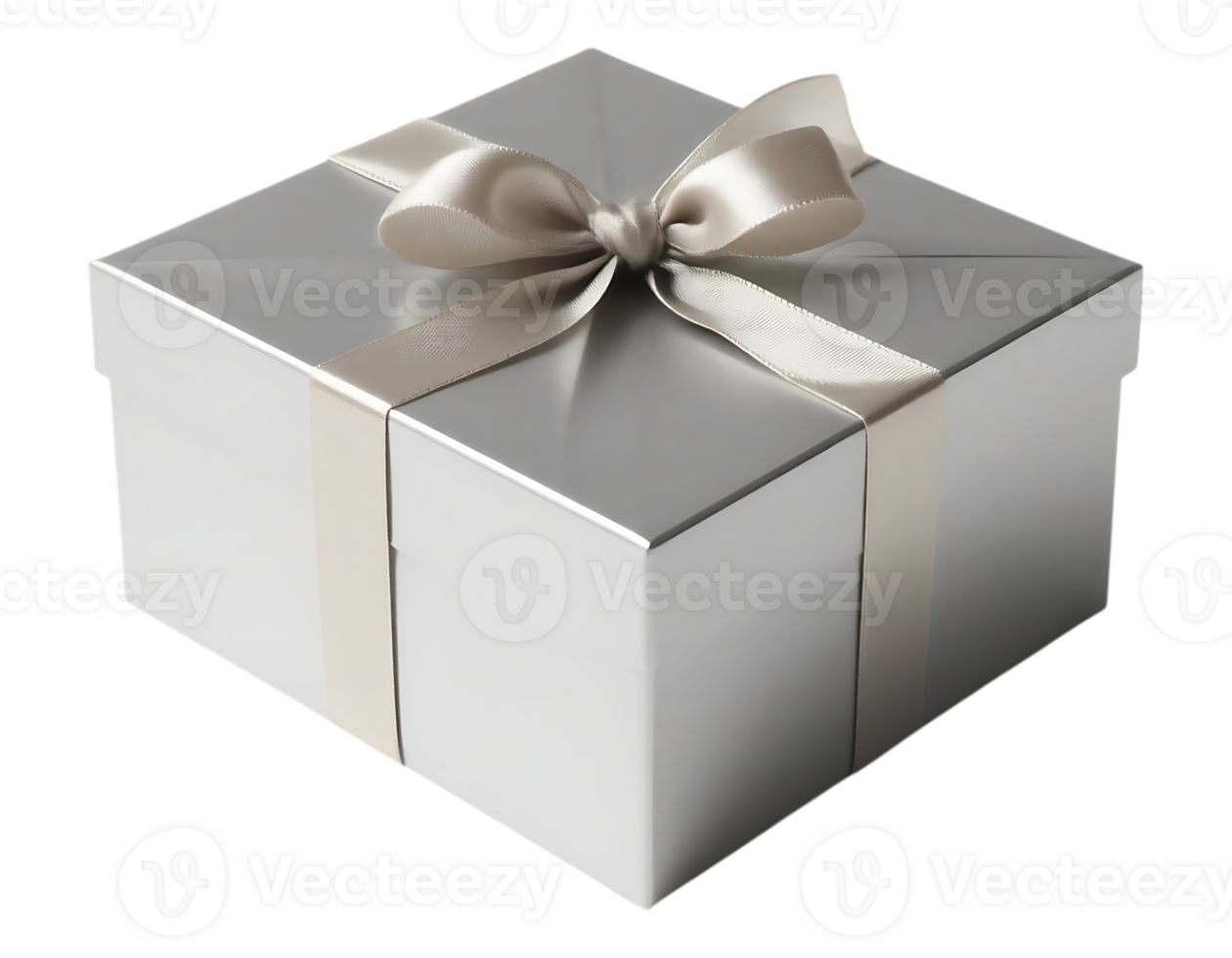Silver Gift Box with Satin Ribbon and Bow png