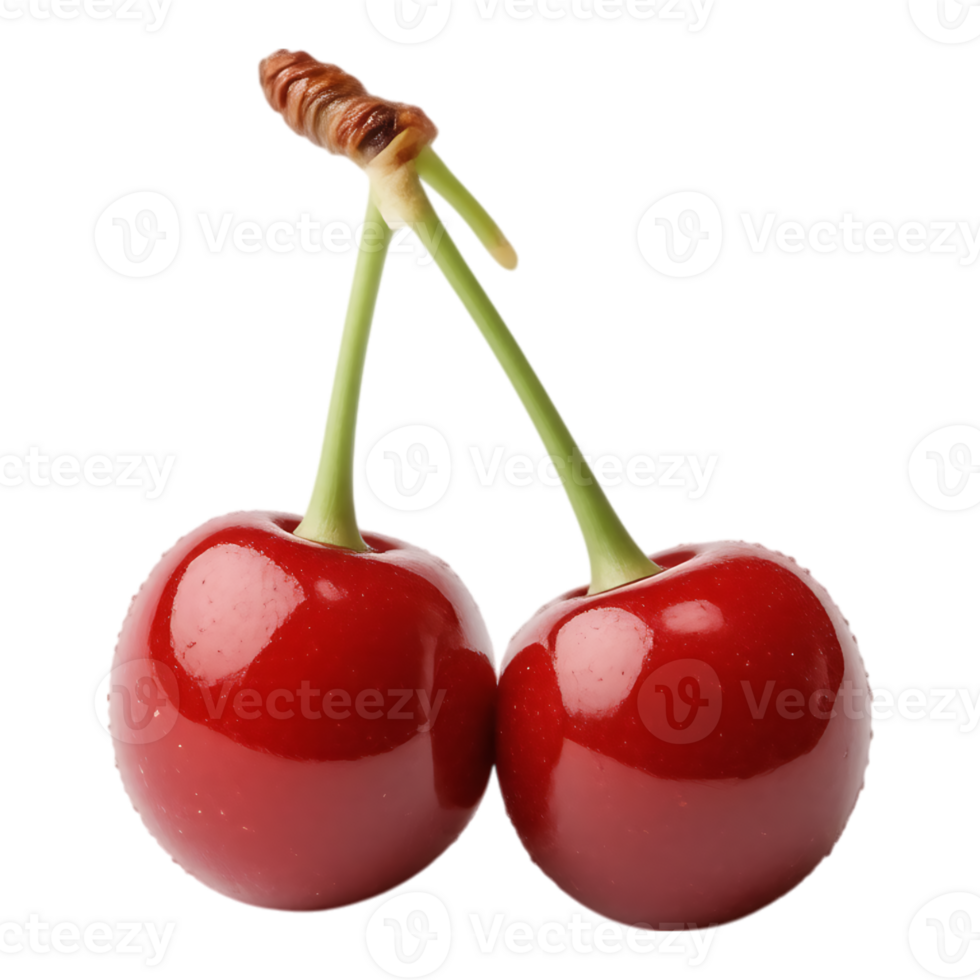 Two ripe cherries with stems against a transparent background png