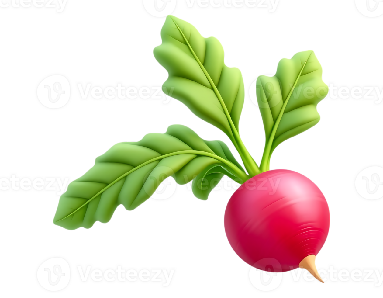 3D Render of a Vibrant Red Radish with Green Leaves png