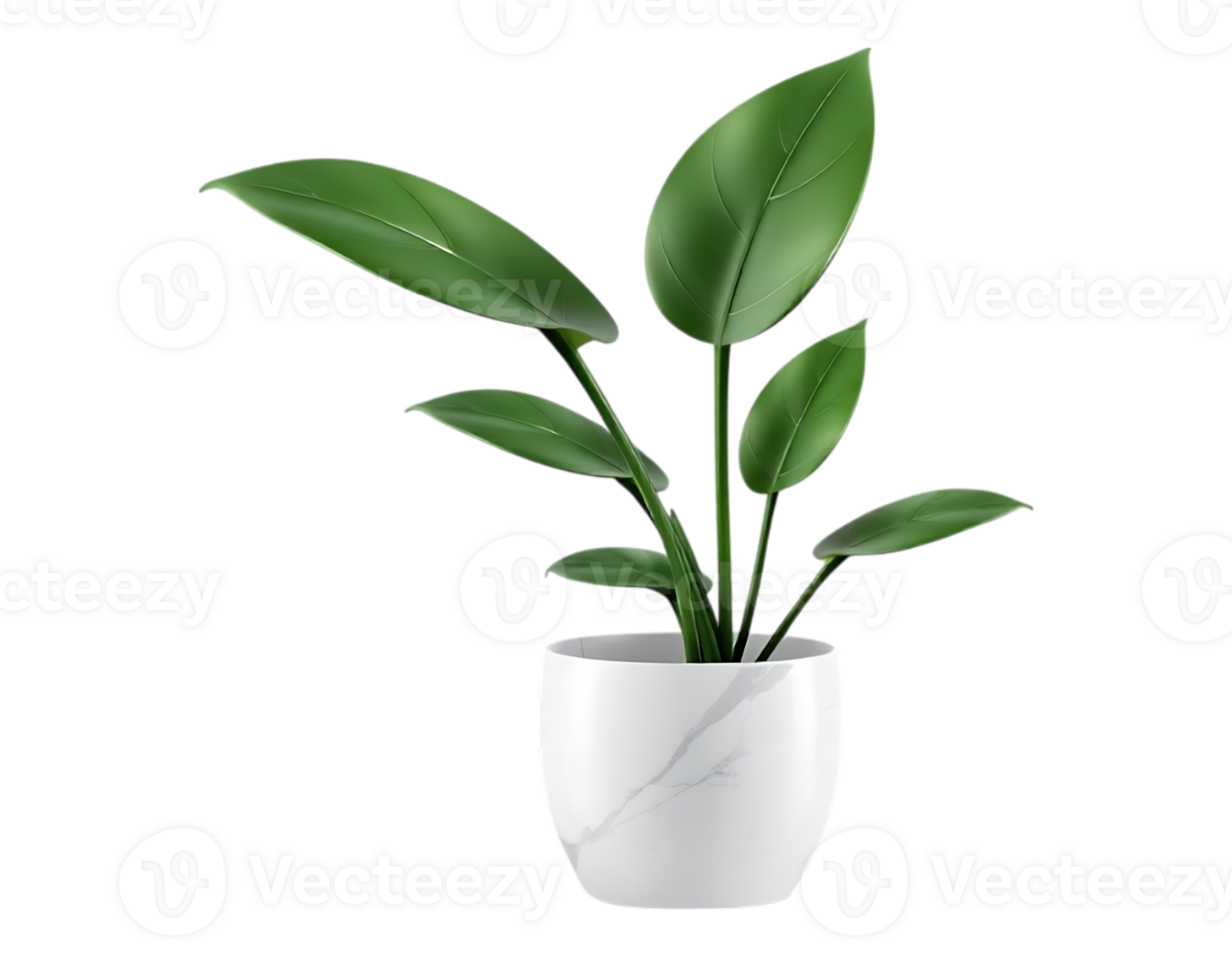 Realistic Potted Plant with Lush Green Leaves png
