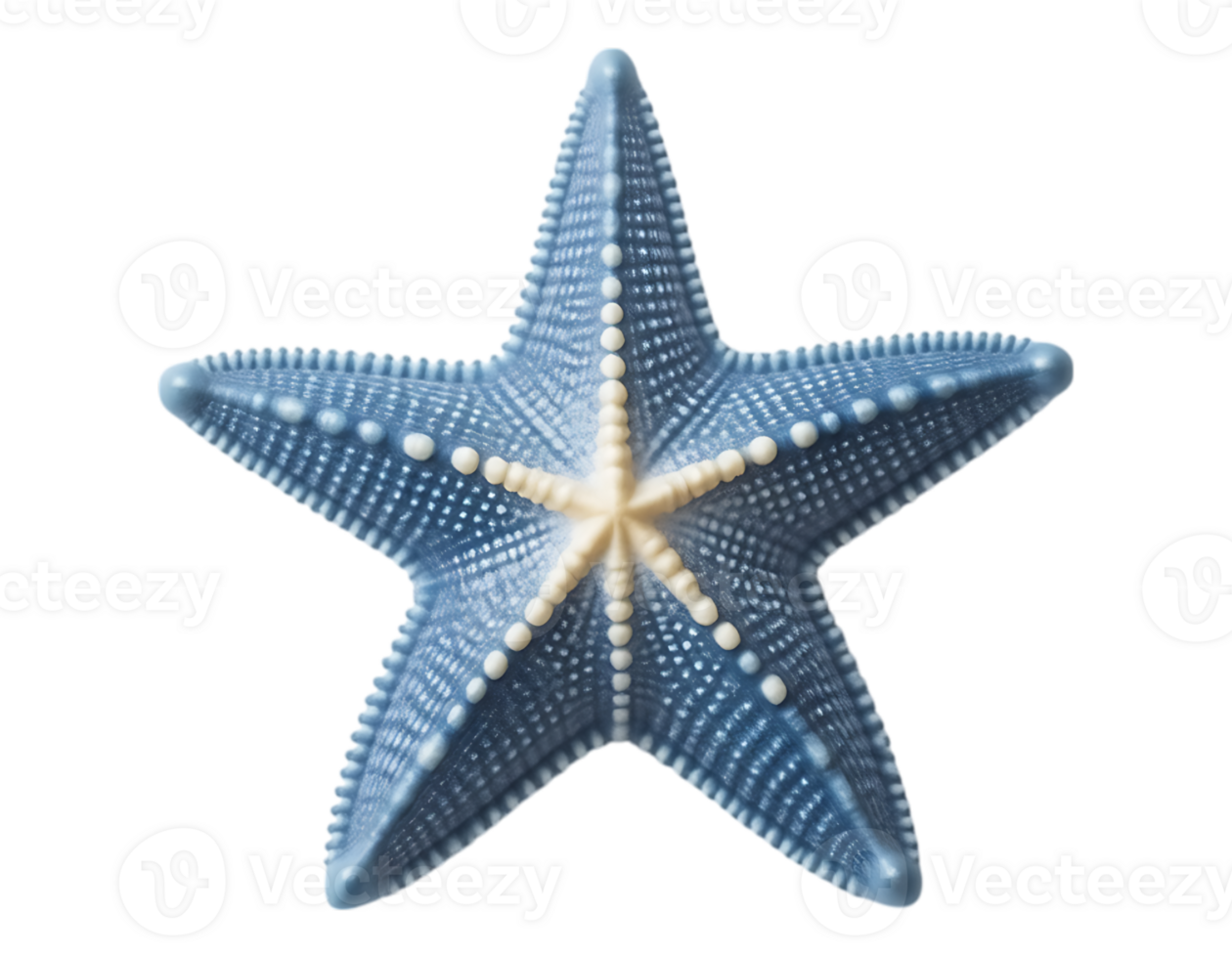 Vibrant Blue Starfish with Intricate Detail png