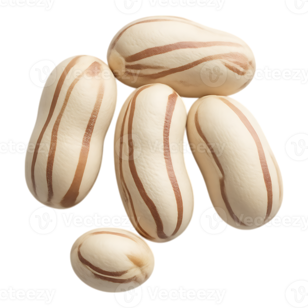 Close-up of Borlotti Beans with Beige Stripes on Transparent Background png