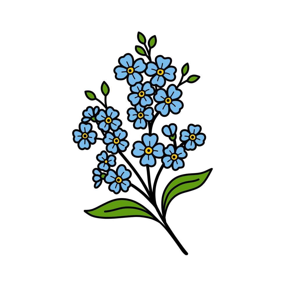 Outline Hand drawn Forget Me Not Flower Blossom Branch Illustration vector