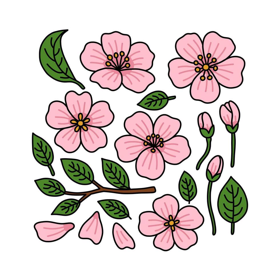 Pink blossom flowers and green leaves vector