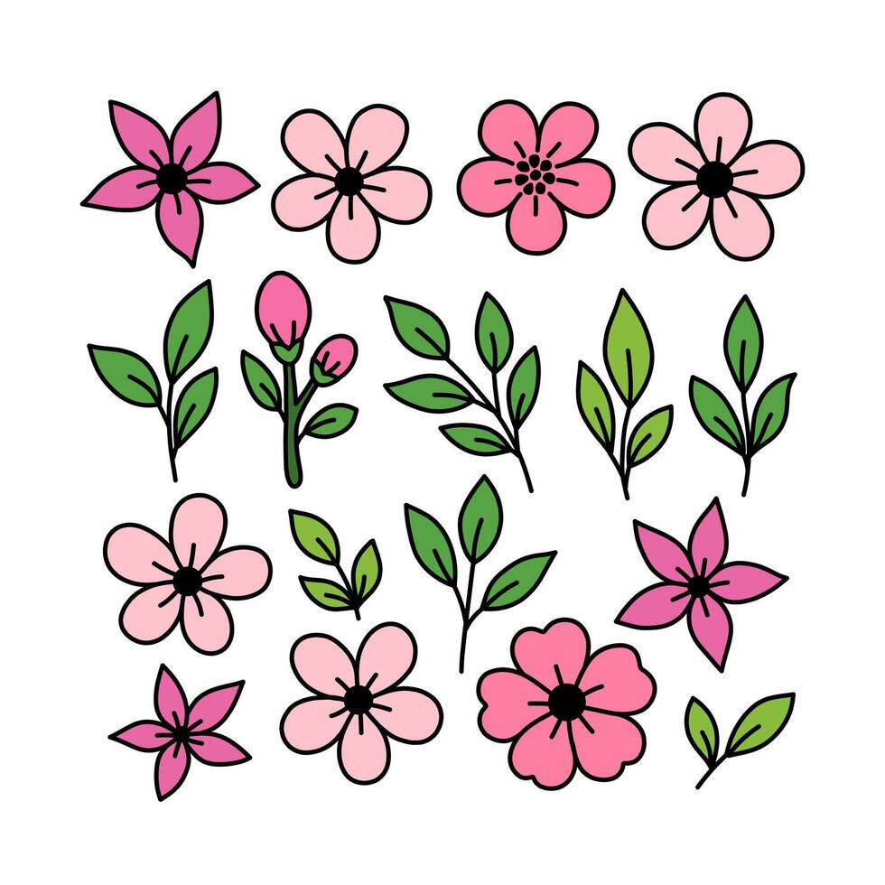 colorful floral illustrations vector
