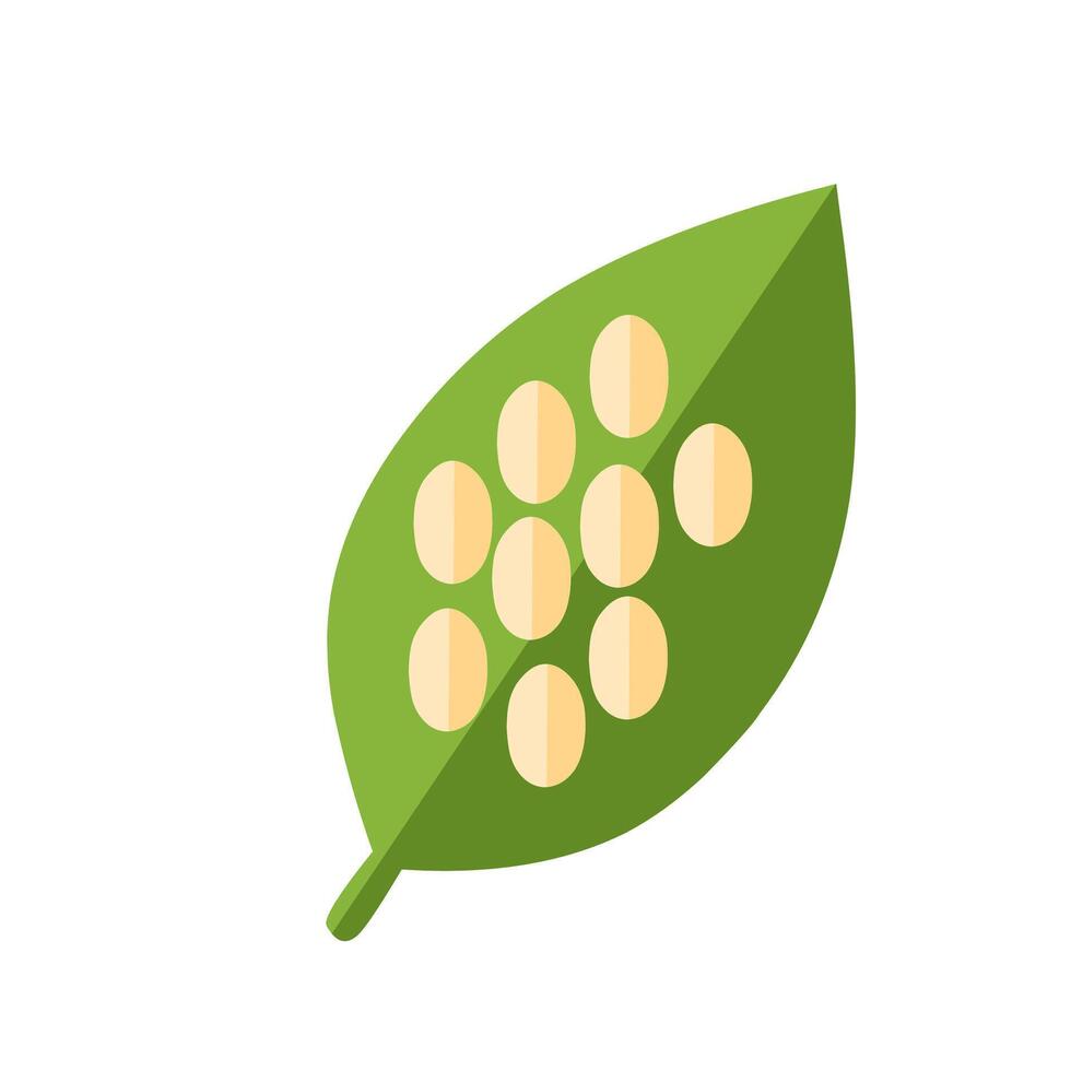 illustration of insect eggs laid on a green leaf. Represents the first stage of the insect life cycle. Ideal for biology education and science visuals. vector