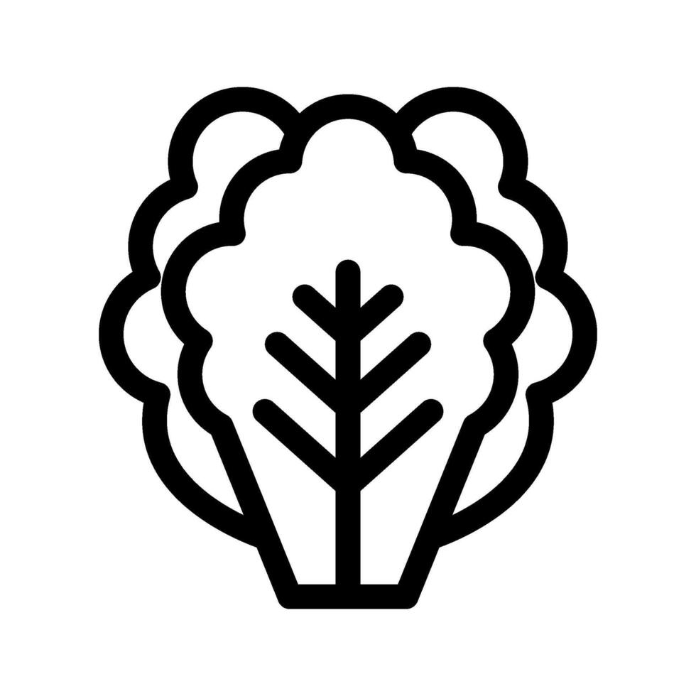 Illustration of Lettuce Line Icon vector