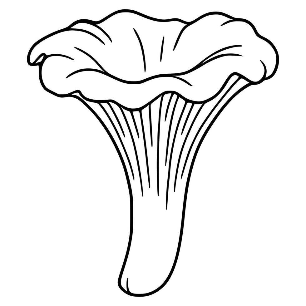 A detailed illustration of a chanterelle mushroom, featuring a unique, hand-drawn style with bold outlines and intricate details in the cap and stem, perfect for culinary or nature-themed de... vector