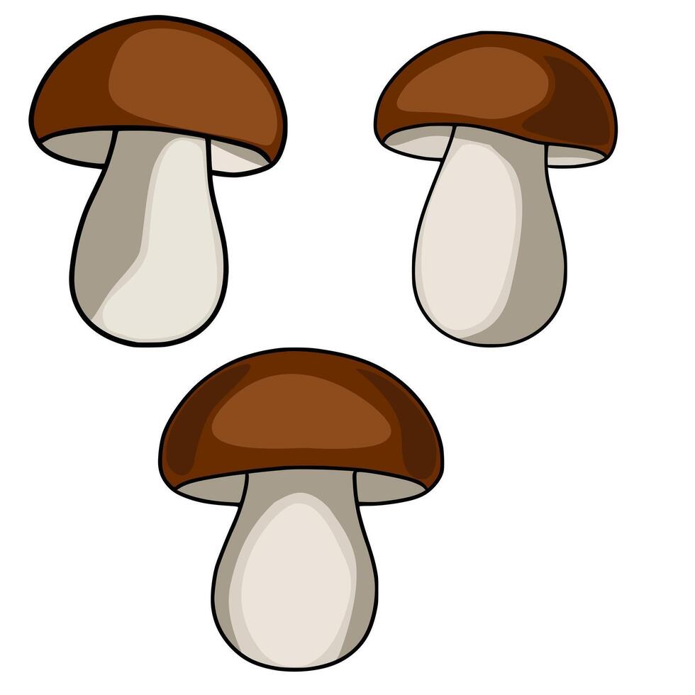 A charming illustration featuring three brown and beige mushrooms, each meticulously detailed with smooth gradients and subtle shading, creating a delightful and whimsical design. vector