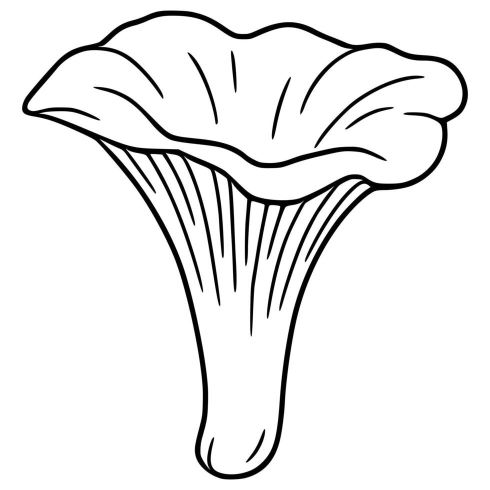 A illustration of a chanterelle mushroom, depicted in a simplified, hand-drawn style with bold black outlines and a focus on the unique shape and texture of the mushroom cap and stem. vector