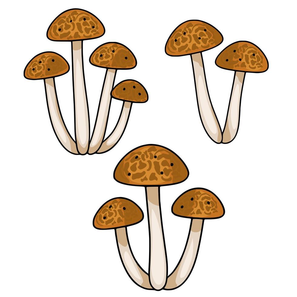 A illustration featuring three clusters of stylized brown mushrooms with unique textured caps, isolated on a white background, perfect for autumnal designs. vector