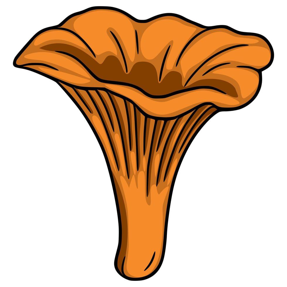 A illustration of a chanterelle mushroom, showcasing its unique funnel shape and vibrant orange hue, detailed with dark outlines for a hand-drawn aesthetic. vector