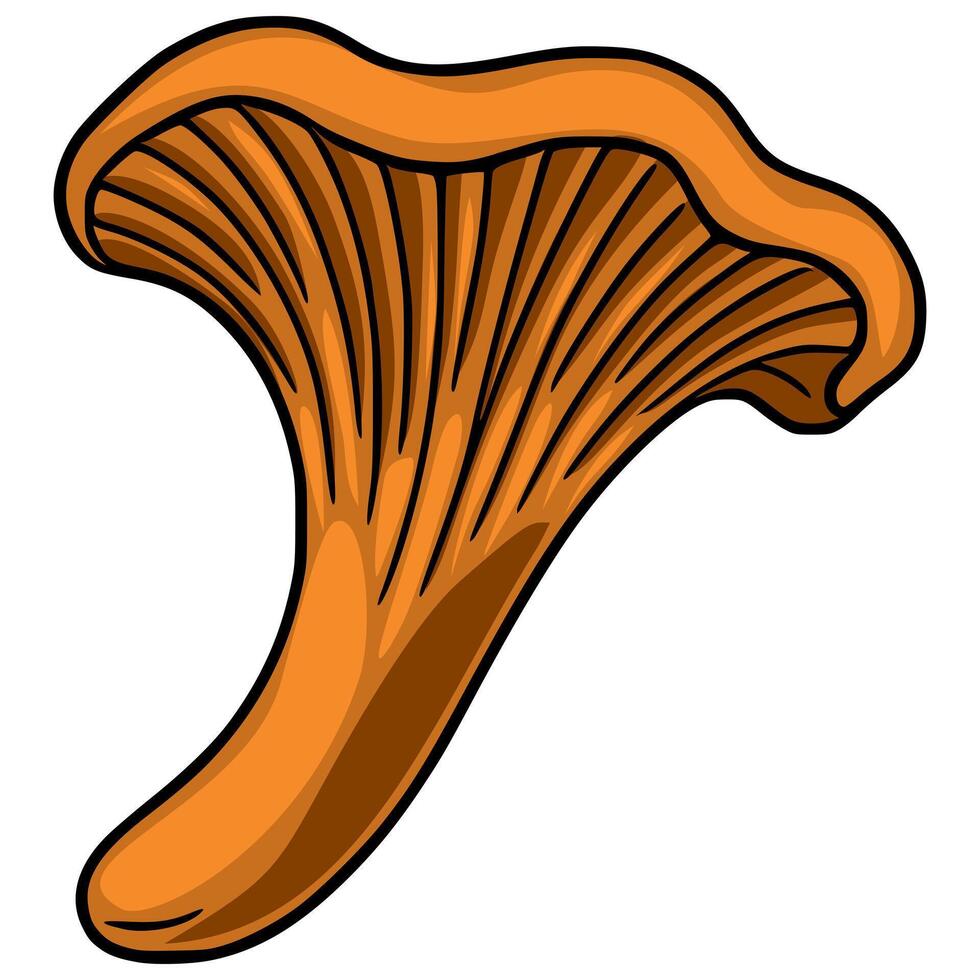 A illustration of a single chanterelle mushroom, showcasing its vibrant orange hue and unique funnel shape with detailed gills, ideal for autumnal designs and culinary applications. vector