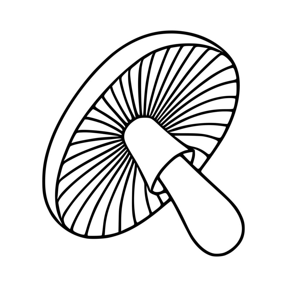 Isometric illustration of a single amanita mushroom with a detailed cap and stem, showcasing a unique line art style perfect for design projects needing a nature-inspired element. vector