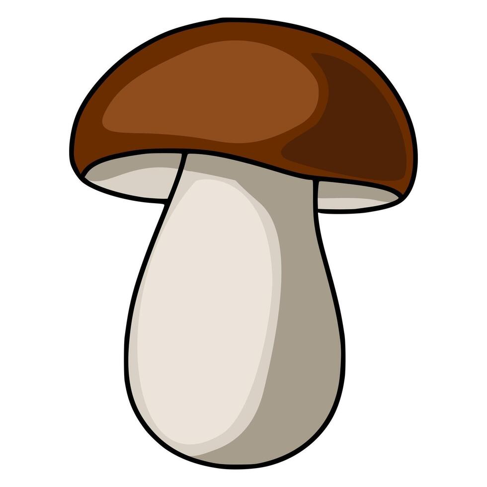 A charming illustration of a porcino mushroom, featuring a smooth, rounded cap and a bulbous stem, perfect for culinary or nature-themed designs. vector
