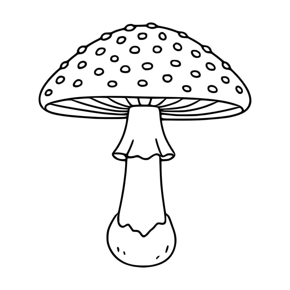 A charming illustration of a whimsical amanita mushroom with a dotted cap and a bulbous base, featuring a hand-drawn style and bold outlines. vector