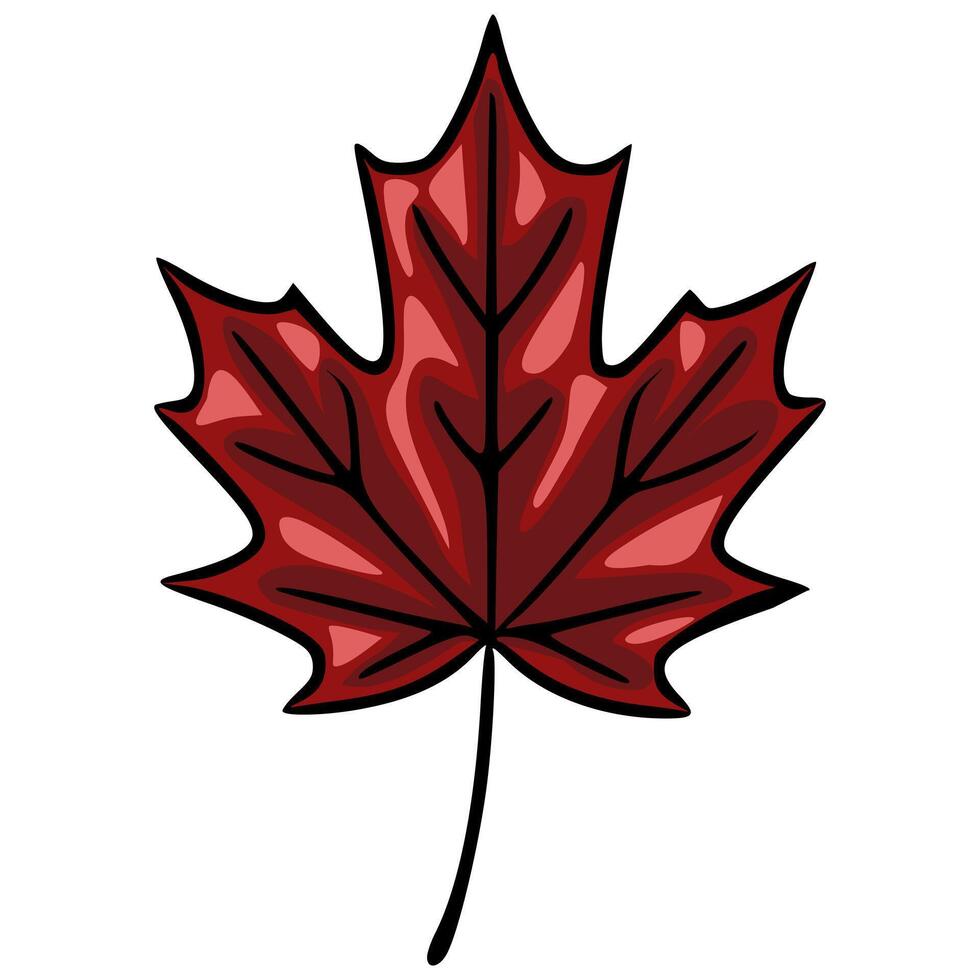 A vibrant illustration of a single stylized maple leaf, showcasing rich red and maroon hues with bold black outlines, perfect for autumn-themed designs. vector