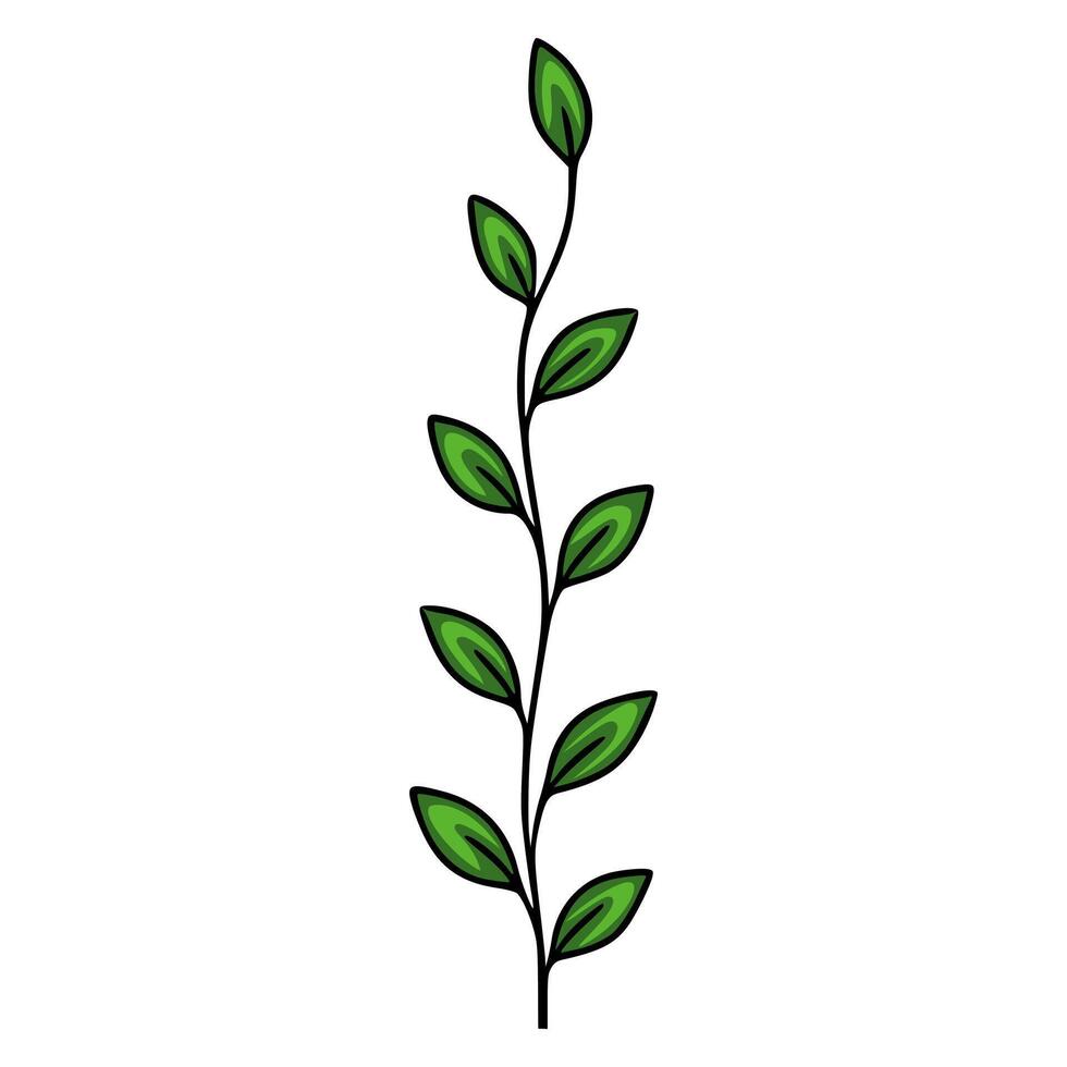 Elegant illustration of a stylized green plant with multiple leaves, perfect for adding a touch of nature to your designs. vector