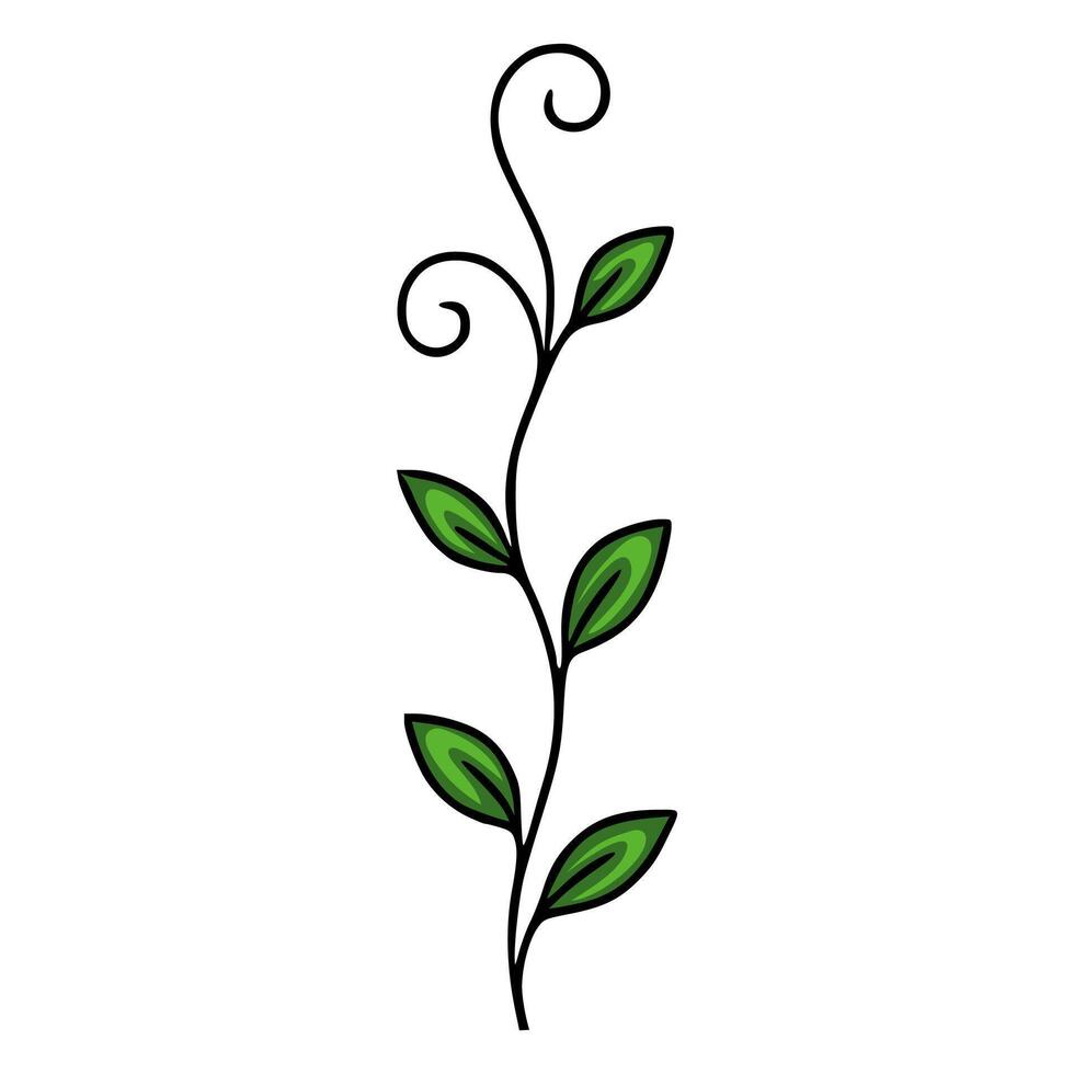 Elegant illustration of a stylized plant with swirling tendrils and vibrant green leaves, perfect for design projects requiring a touch of nature. vector