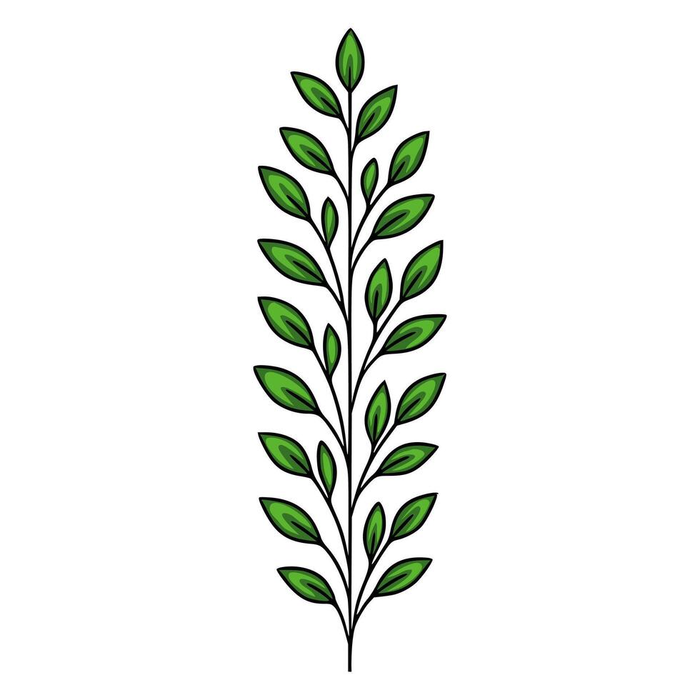 Elegant vertical illustration of a stylized green sprig with detailed leaves, perfect for design projects needing a touch of nature. vector